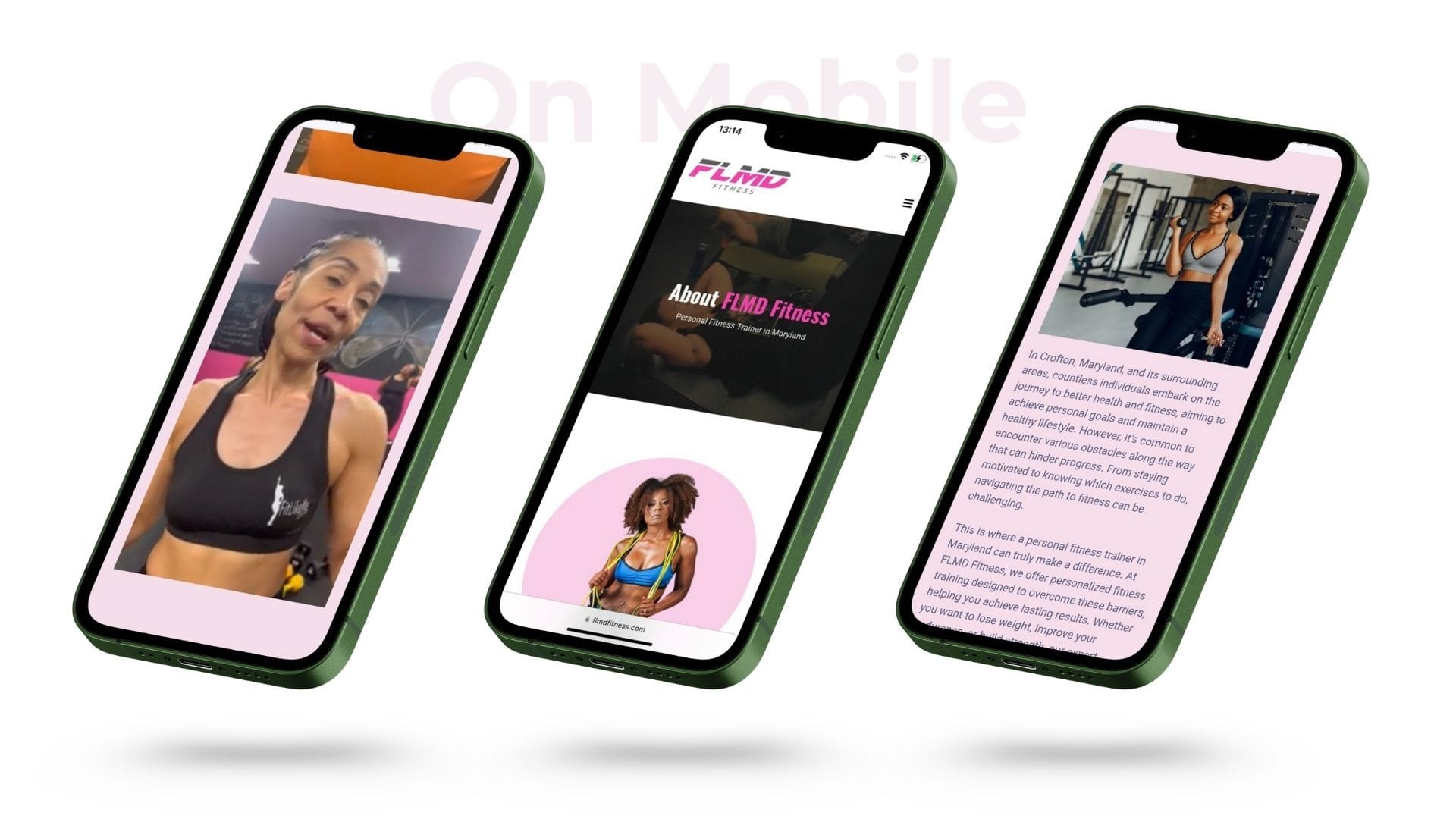 Brand Manager - Hire a Dedicated Brand Virtual Assistant FLMD Fitness Web Design and Landing Page 7